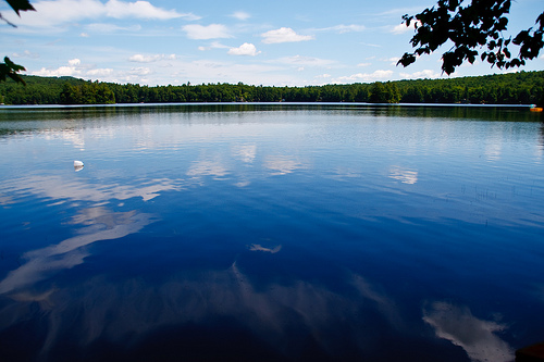 Mr Lake Frontraymond Maine Offers Plenty Of Water For Lake