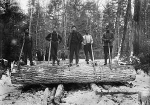 Maine loggers