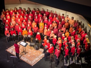 Midcoast community chorus